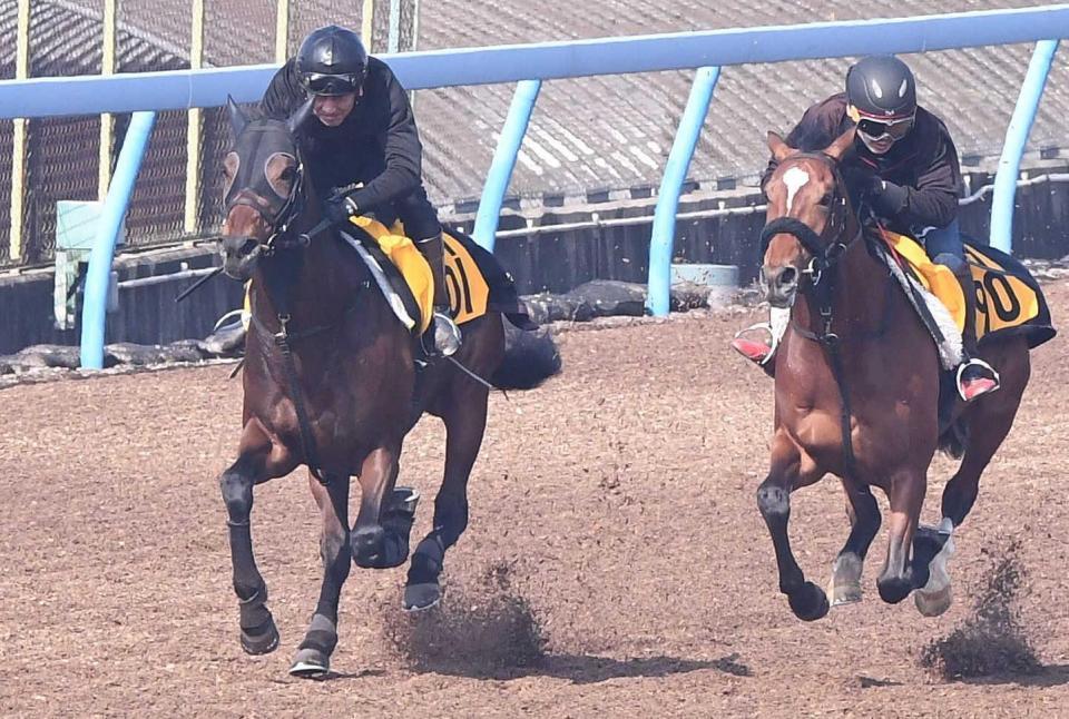 　きっちりと先着を果たしたアラタ（左）＝撮影・園田高夫