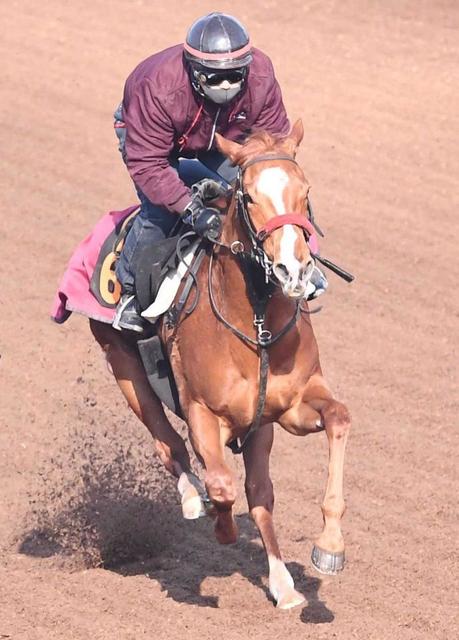 【フィリーズR】トラベログ 快速の血が騒ぐ!輸送対策も万全 岩戸師「機動力ある」