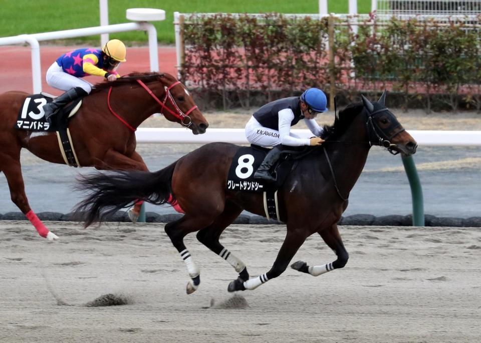 　勝利したグレートサンドシー（右）