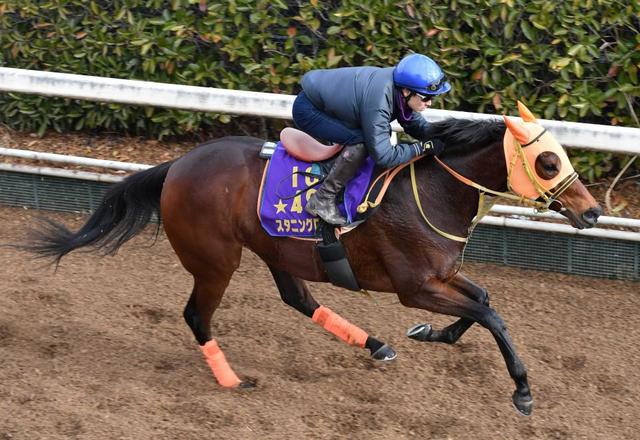 スタニングローズが大阪杯見送り　背中に疲れ　今後はヴィクトリアＭを目標に