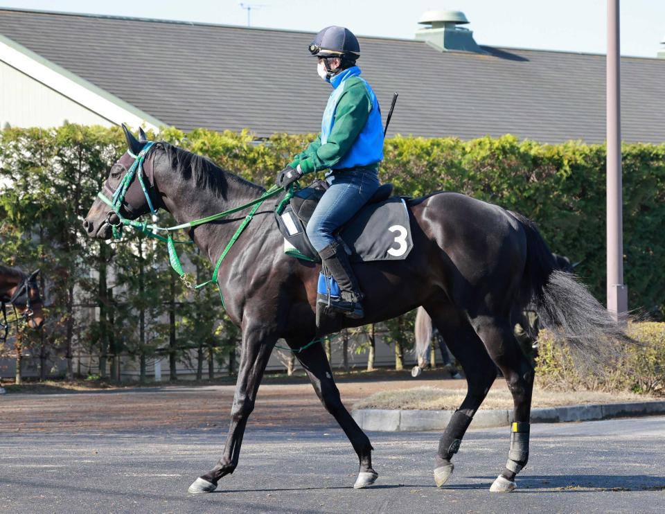 　権利獲りを目指すアイスグリーン