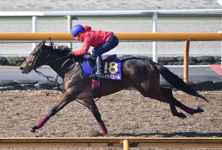 　池添を背に栗東ＣＷで好時計をマークしたメイケイエール＝撮影・石井剣太郎