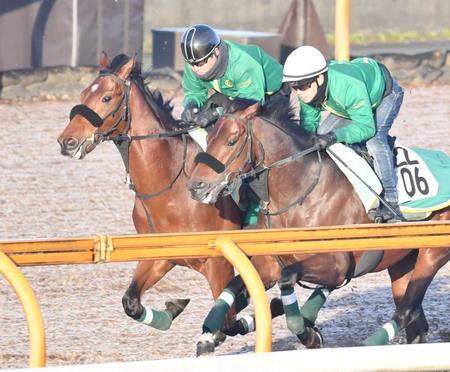 　栗東ＣＷで併せ馬を行い、活気十分の動きを見せたベラジオオペラ（奥）＝撮影・石井剣太郎