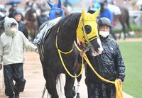 　ストで人員が足りなくパドックで自ら管理馬を引く高木師（手前）＝撮影・三好信也