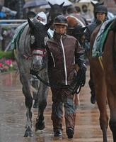 　ストで人員が足りなくパドックで自ら管理馬を引く武市康男調教師（手前）＝撮影・三好信也