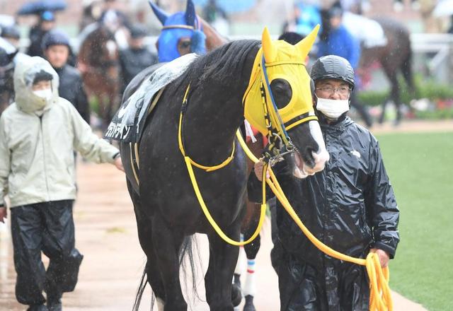 中央競馬 ストライキ決行で緊急事態の開催 調教師が馬を引く姿も
