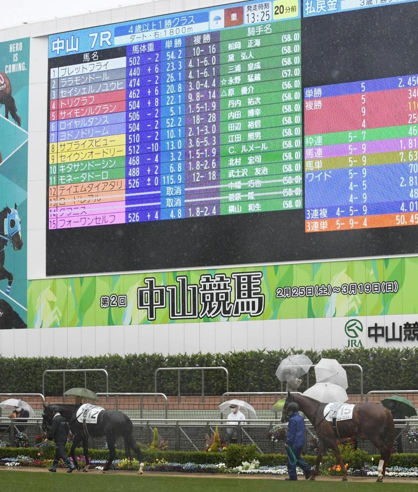　ストの影響から中山７Ｒで１３番・ロードレアルと１４番・ダフニスの出走取り消しを伝えるパドックのビジョン（撮影・三好信也）