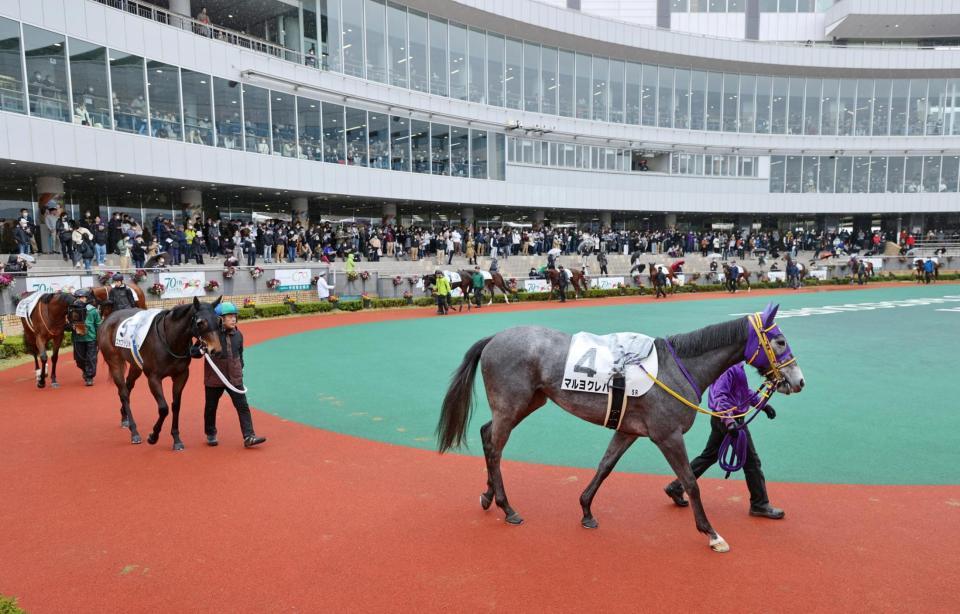 　厩務員、調教助手ら加盟の労組による春闘の影響が懸念されるなか開催され、パドックで競走馬をひく関係者ら