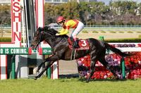 　完勝したジャスティンパレス（撮影・石湯恒介）