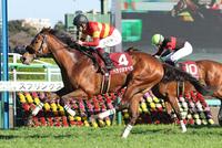 　スプリングＳを制したベラジオオペラ