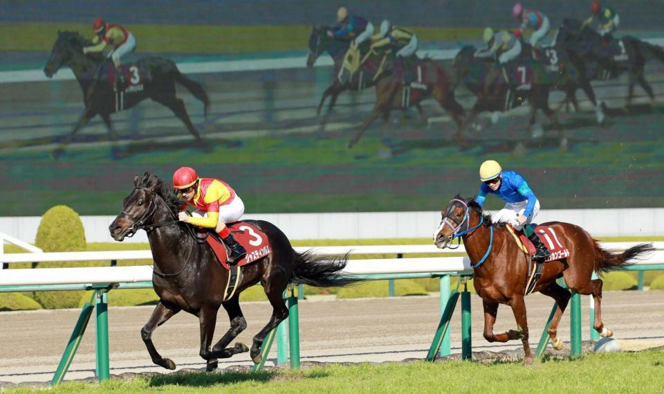 　ライバルを難なく退けたジャスティンパレス（左）＝撮影・石湯恒介