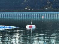 　破損したターンマーク