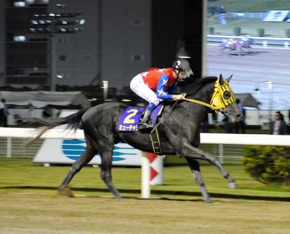 地方競馬 東京ダービーは船橋所属馬がかなり優勢だ レース記者コラム 競馬 レース デイリースポーツ Online