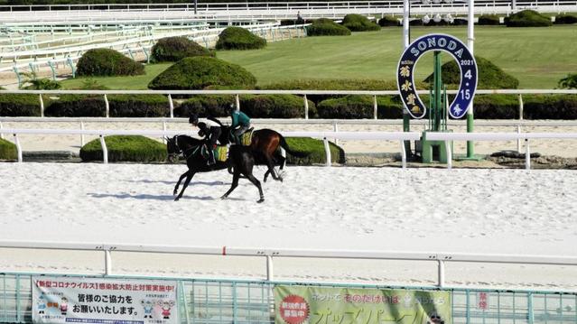 地方競馬 姫路から園田に舞台が変わって新たな熱戦を期待 レース記者コラム レース デイリースポーツ Online