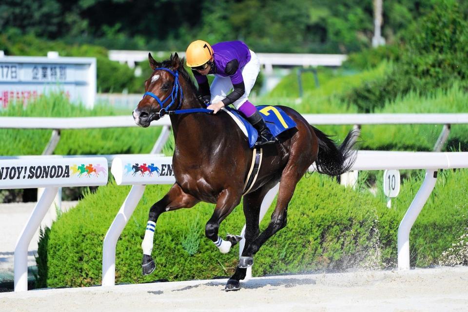 ２２年、さらなる飛躍が期待されるイグナイター