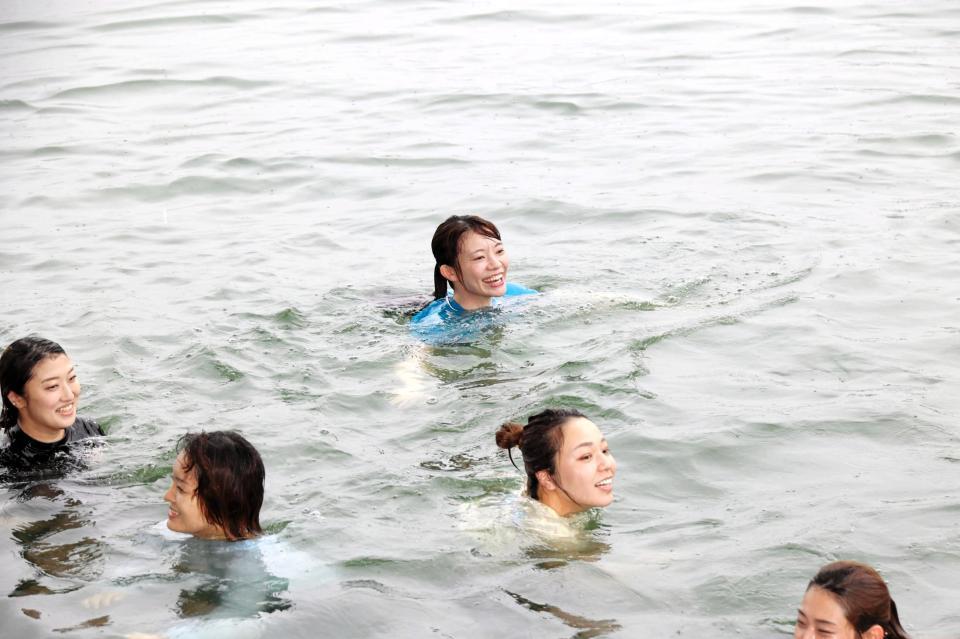 f_15692311.jpg