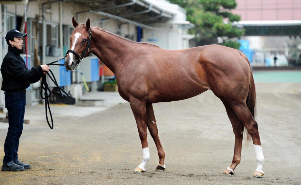 メジャーエンブレム　評価Ａ