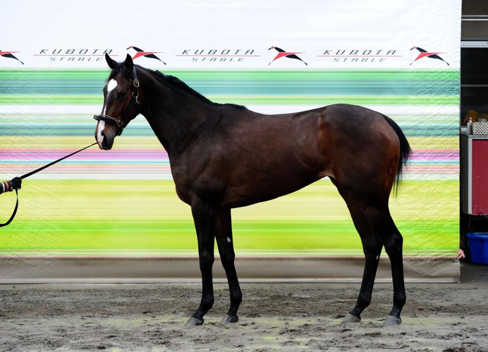 クードラパン　評価Ｂ