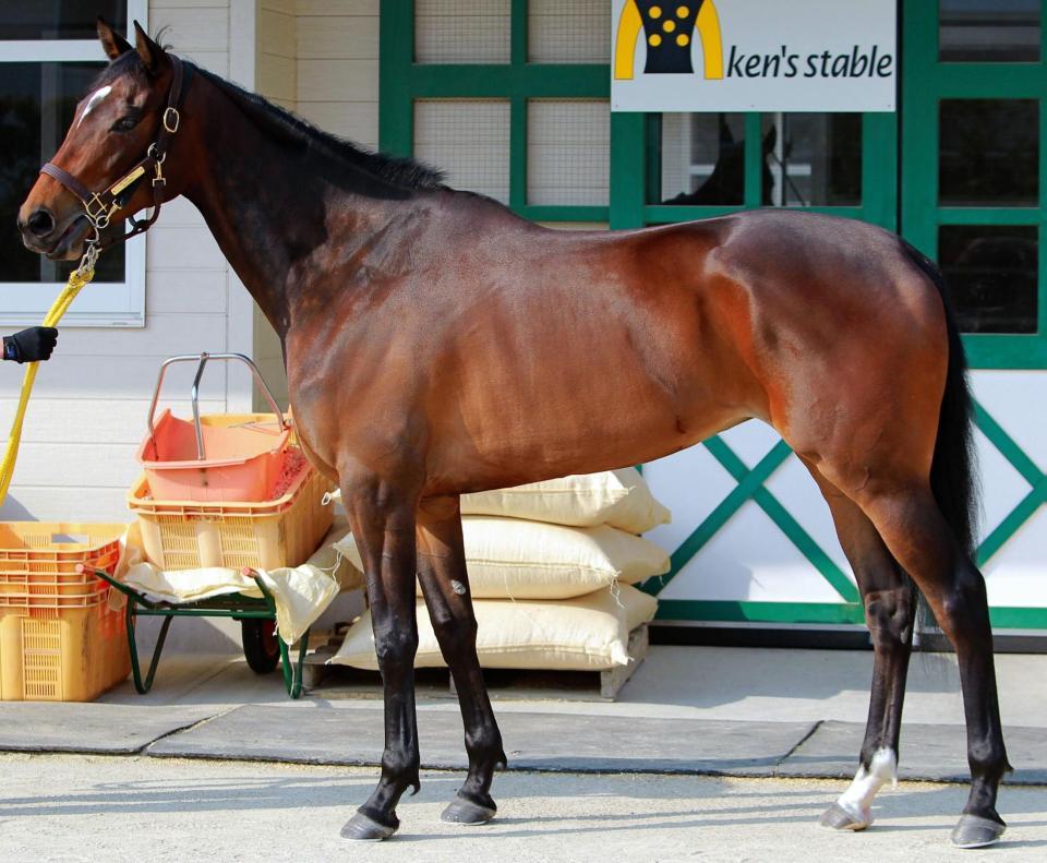 桜花賞馬ジュエラー