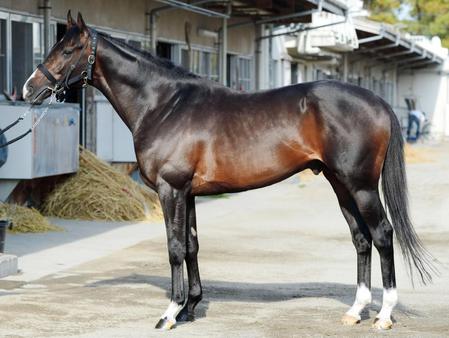 フェイムゲーム