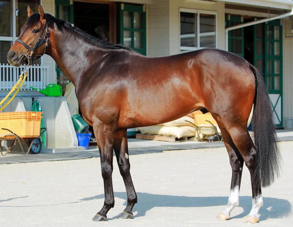 サウンズオブアース