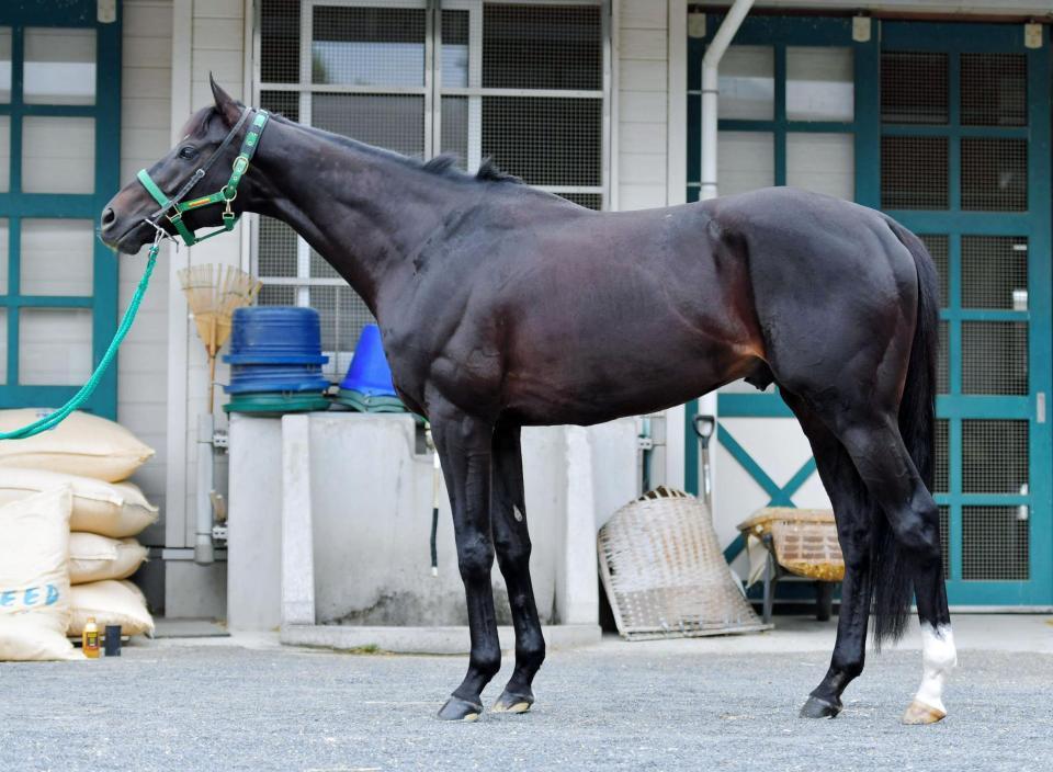 アンビシャス　評価Ｃ