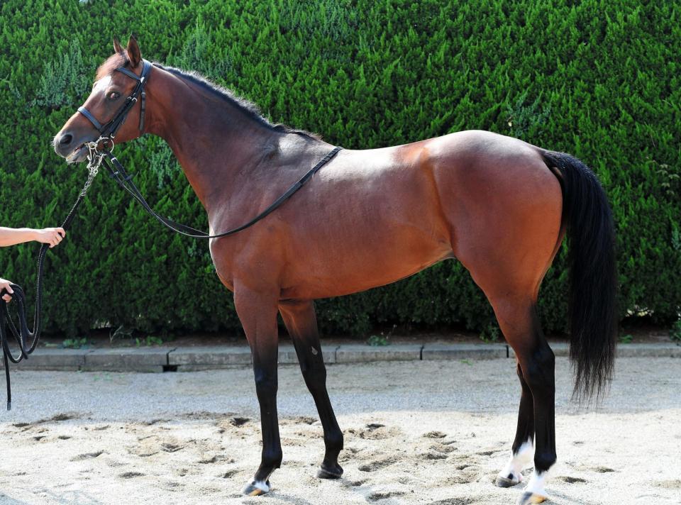 ミッキースワロー