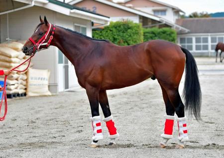 リアルスティール