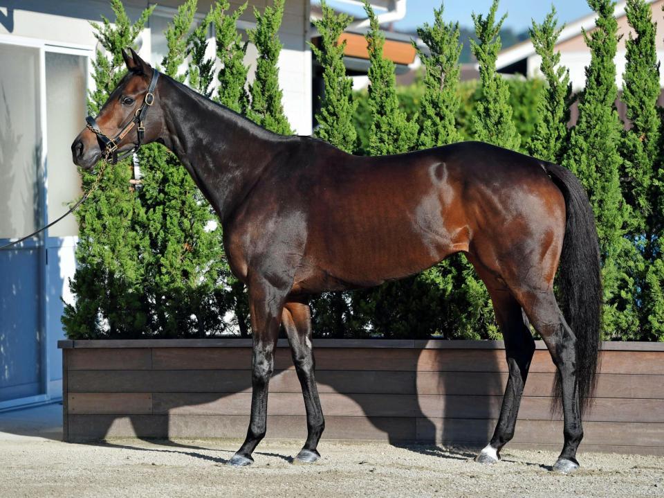 クイーンズリング