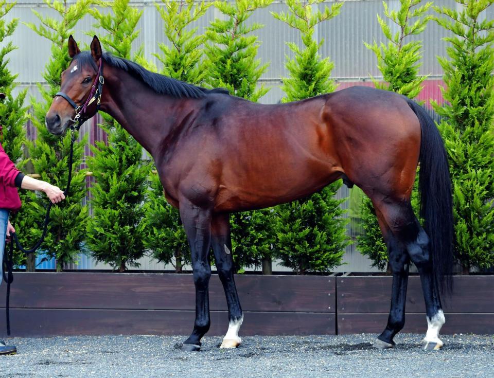 アウォーディー