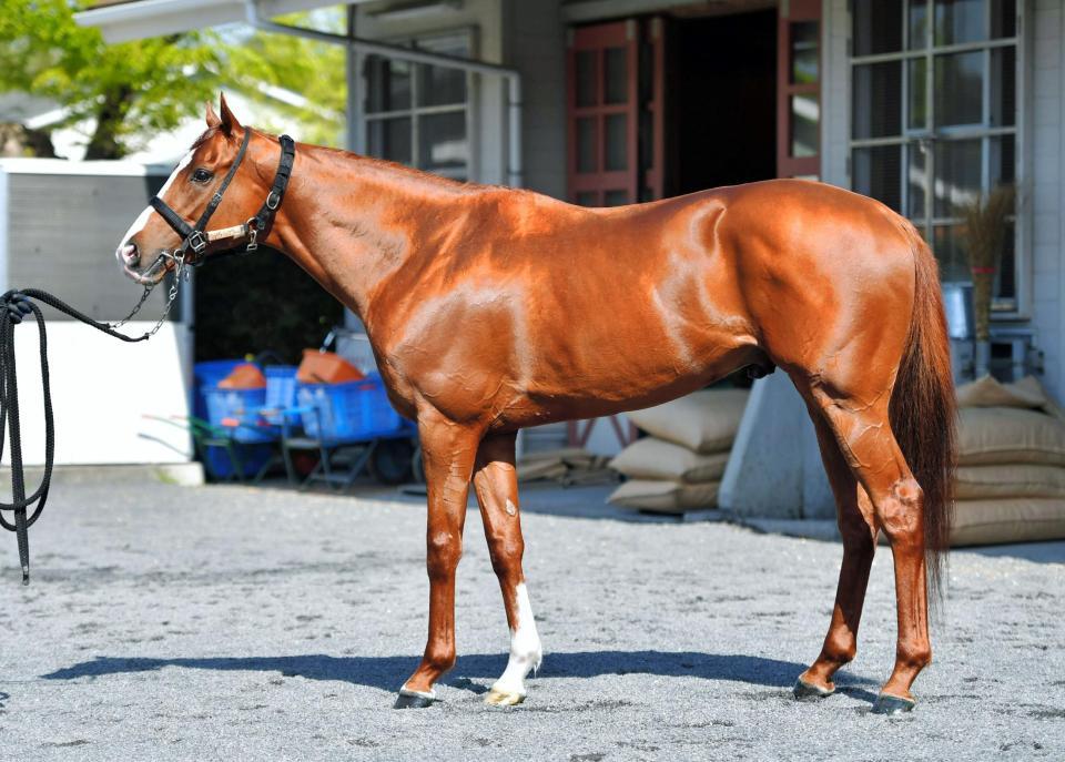 シュヴァルグラン