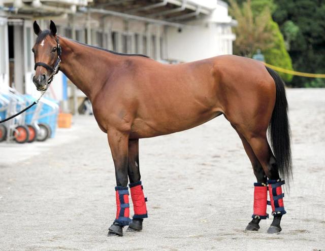 競馬　アーモンドアイ　秋華賞　コンプリート　3体 アーモンドアイ、史上5頭目の牝馬3冠 競馬の秋華賞 - 日本経済新聞