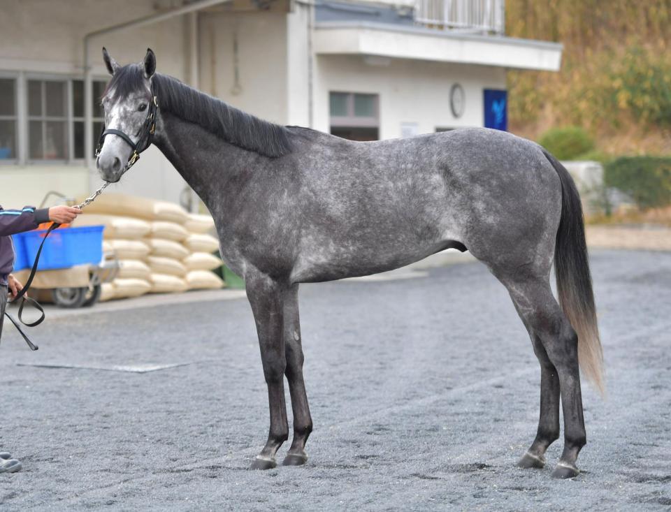 オメガパフューム