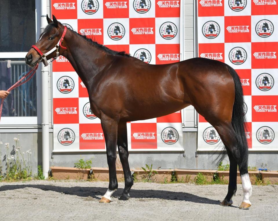 オークス馬体診断】ラヴズオンリーユー/馬体診断/競馬・レース