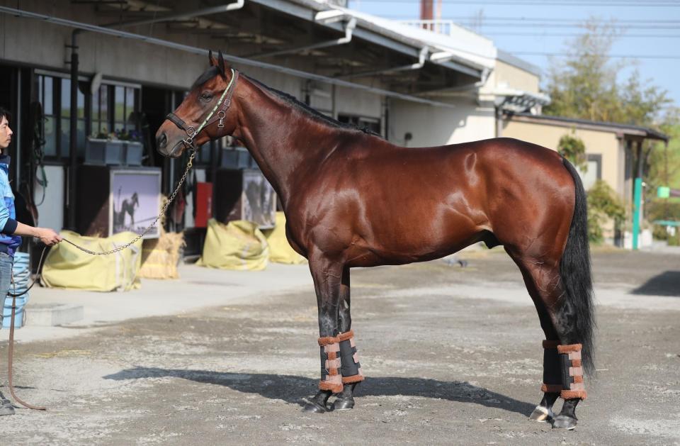 大阪杯2020の予想を公開! | 競馬はビジネス ...