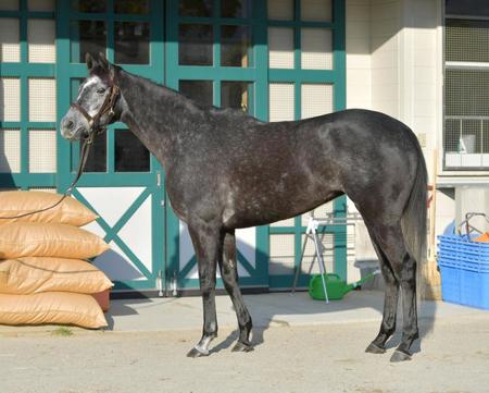 クロノジェネシス