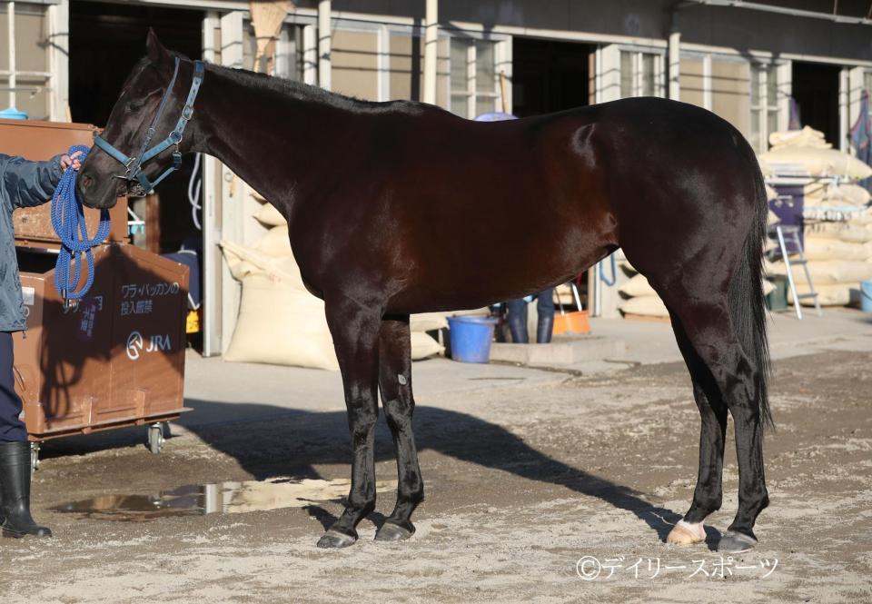 ユーバーレーベン