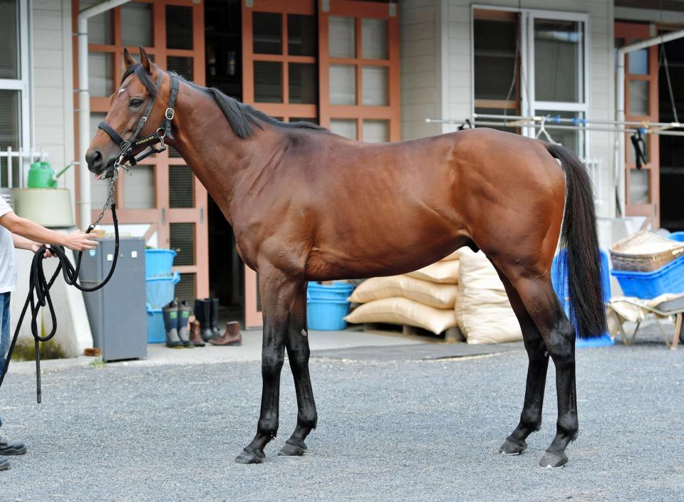 ダンスディレクター　評価Ａ