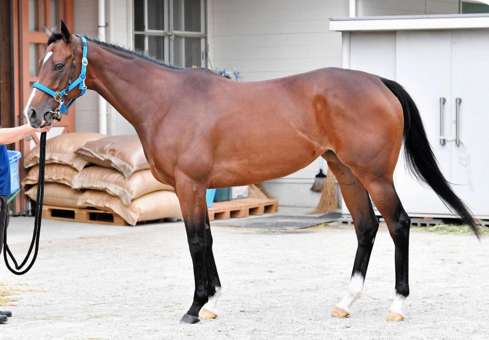 フィドゥーシア　評価Ｂ