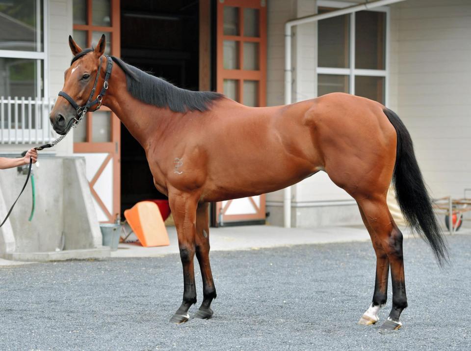 メラグラーナ　評価Ｃ