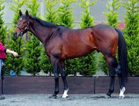 アウォーディー　Ａ