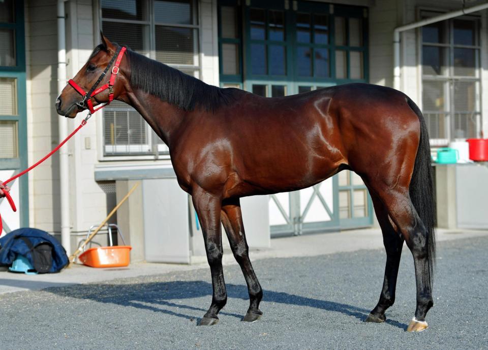 ロンドンタウン　Ｂ