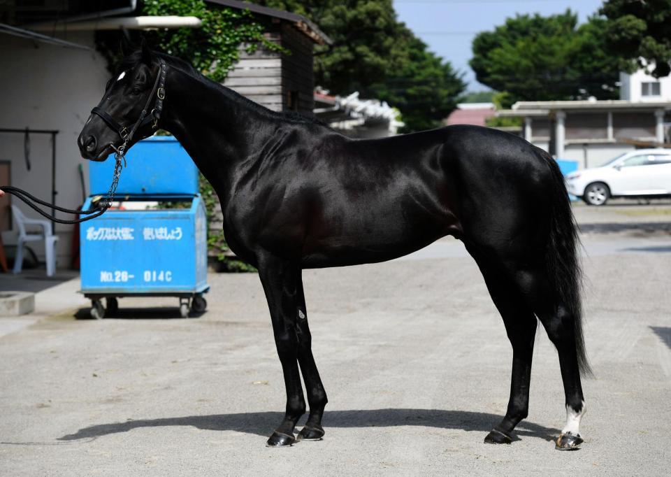 ジェネラーレウーノ　評価Ｂ