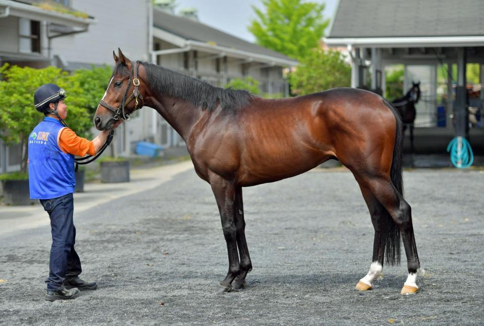 タイムフライヤー　評価Ａ