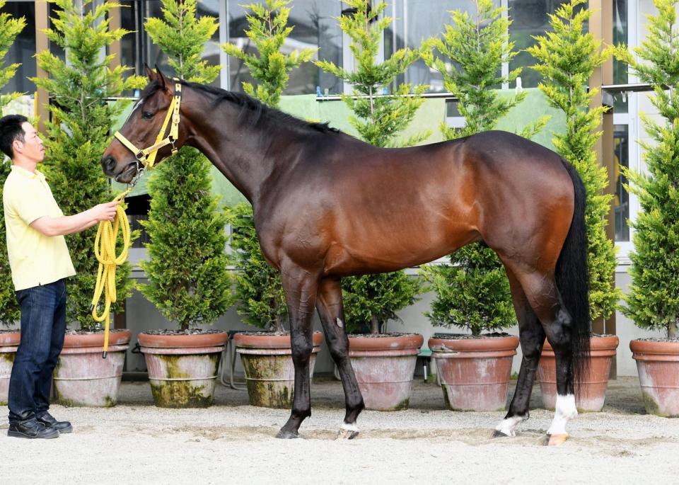 サンリヴァル　評価Ｂ