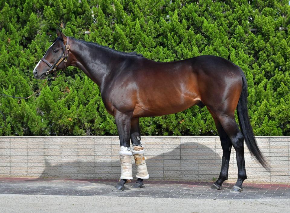 ジャンダルム　評価Ｂ