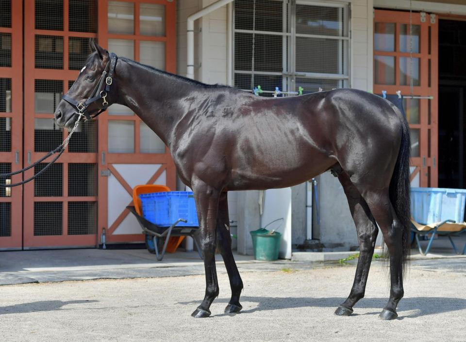 グレイル　評価Ｃ