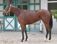 カンタービレ　評価Ｂ