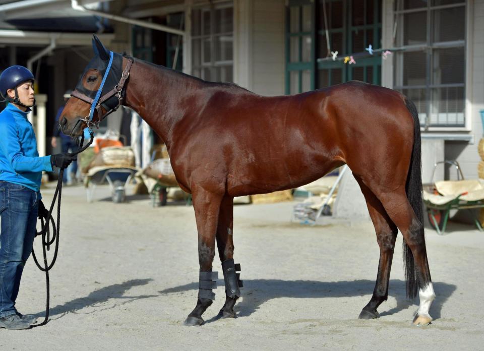 レイホーロマンス　評価Ｂ