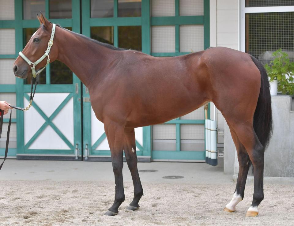 カンタービレ　評価Ｂ